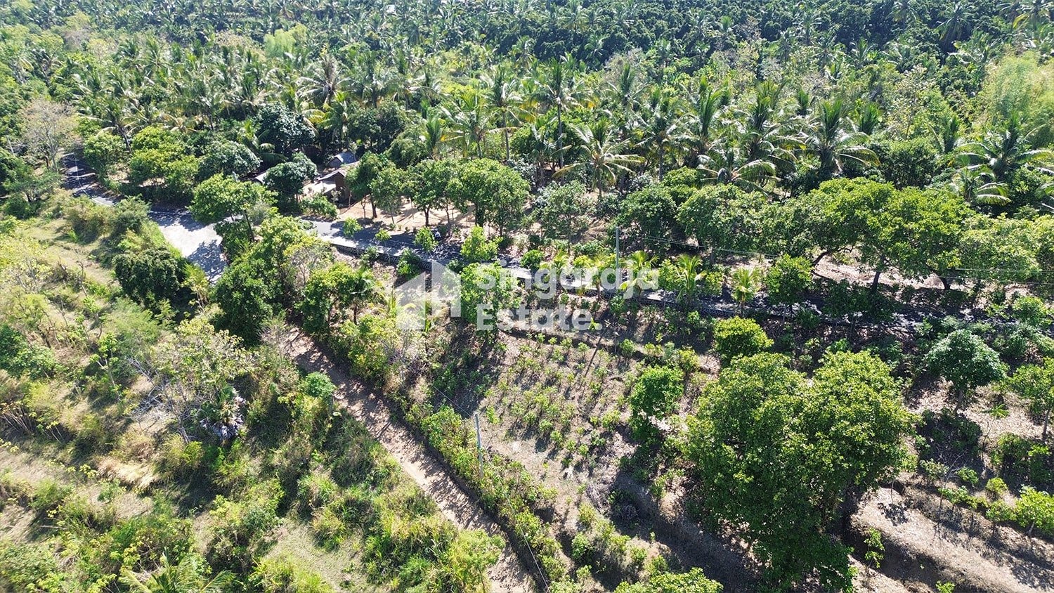 12 Are Land with Beach View in North Bali Airport Area - Image 6